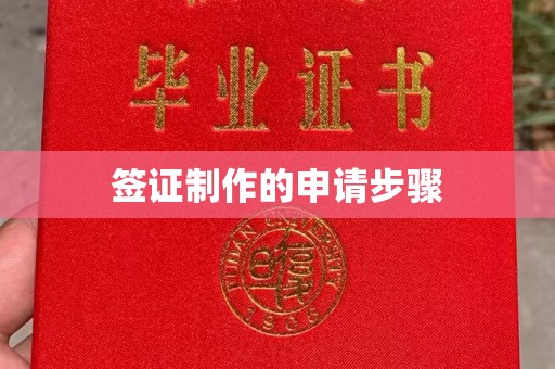 米易签证制作的申请步骤