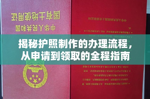 米易揭秘护照制作的办理流程，从申请到领取的全程指南