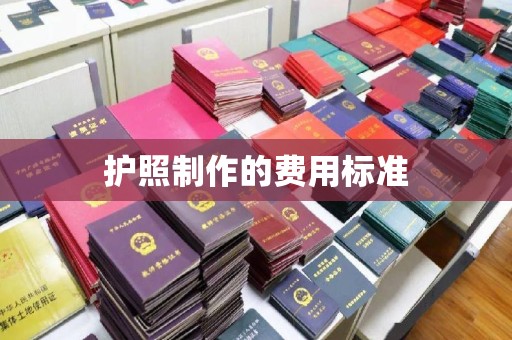 米易护照制作的费用标准